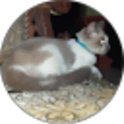 Review From Fajar nur2058