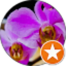 Review From Belajar Bersama