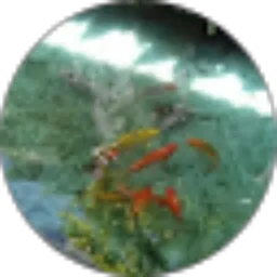 Review From Ilham Rukka