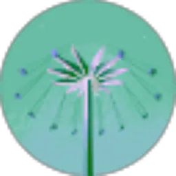 Review From Agus Sulaiman