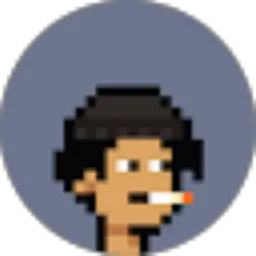 Review From Gavin Vikram