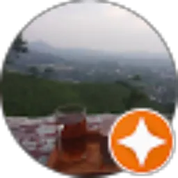 Review From Ecko Winer