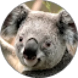 Review From slamet hardianto