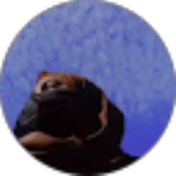 Review From marni hehanussa