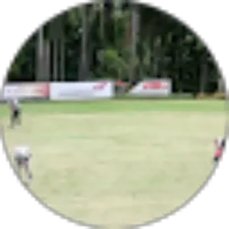 Review From Fayumi 0730