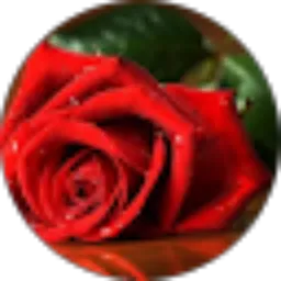 Review From Janji Jiwa