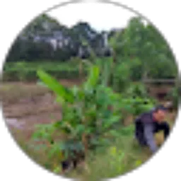 Review From usman ali