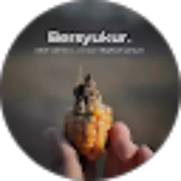 Review From Edy Cahyo29