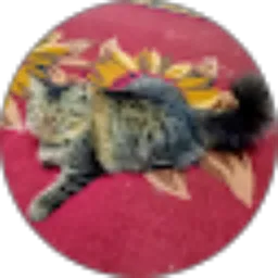 Review From Widya Nurriffita Dewi