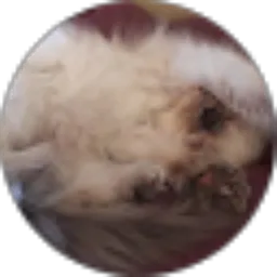 Review From Mayang Sumirat