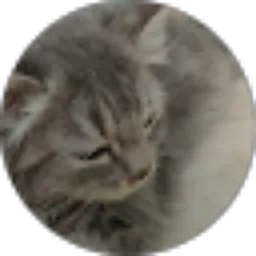 Review From Vineta Davina Amora