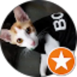 Review From Upex Leiva