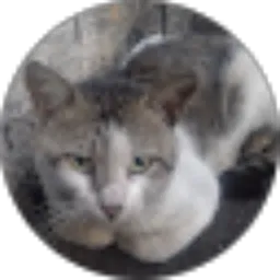 Review From Ojan Kurniawan