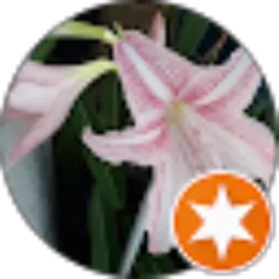 Review From YAYAN BJPM