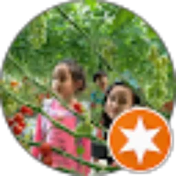 Review From Soko Arrow Dadi Jodo