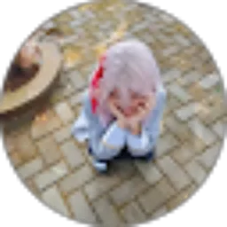 Review From Erlangga