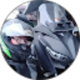 Review From Bimo Tunggal Dipowardani