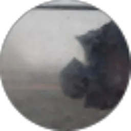 Review From Danang Teguh