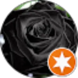 Review From Rahma Lee