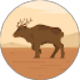 Review From ahmad 17