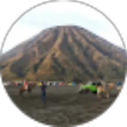 Review From Sigid Corner