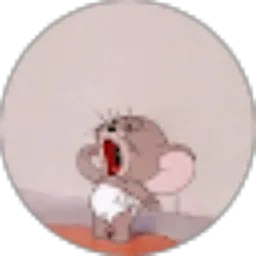 Review From Gabriella Rachel