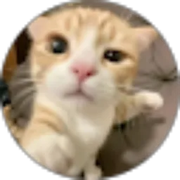 Review From Gia Lestari