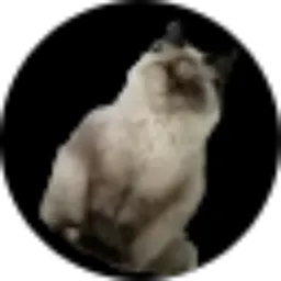 Review From conjuboy paw