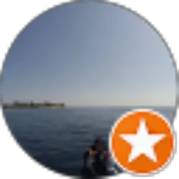 Review From dini sulistyaningrum