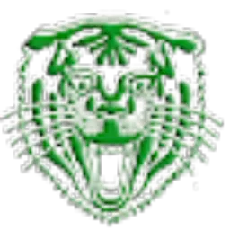 Review From Kang Ari