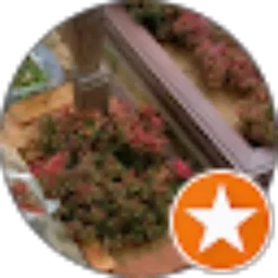 Review From Hasanie Rachman