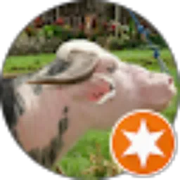 Review From Tyson Anthoni