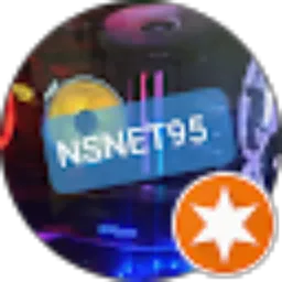 Review From NSNET ID