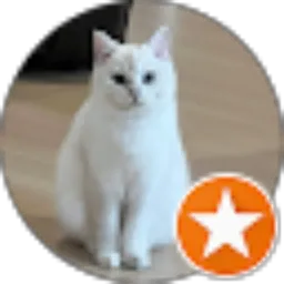 Review From Fitriana Puspa W