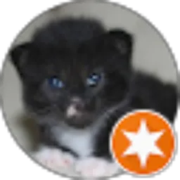 Review From Angga Davisa