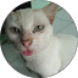 Review From novi yantri