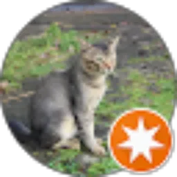 Review From Dicky Bulli