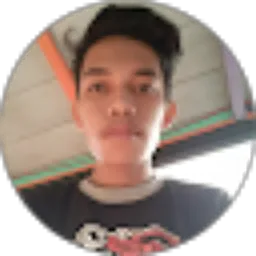 Review From Erwin Rastavara