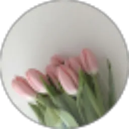 Review From ade winda