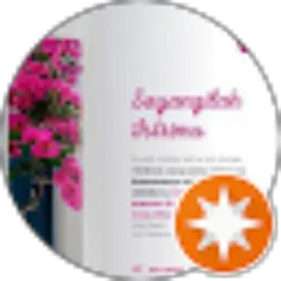 Review From Tommy Patra