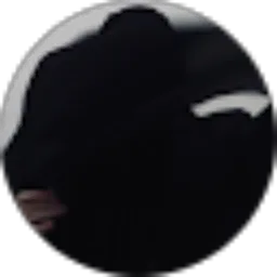 Review From Annisa Salsabillah Nur Asyura