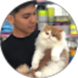 Review From arfandi riyanto