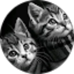 Review From Muhammad Fitri Adrian