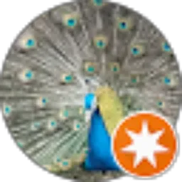 Review From ricky sumardi