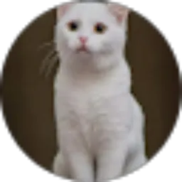 Review From Ina Prihasiwi