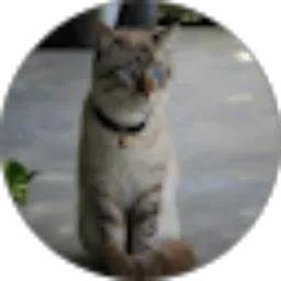 Review From Maqsum Hasbullah