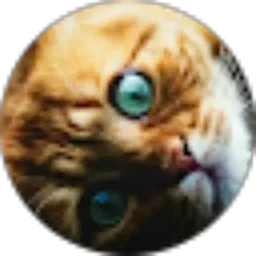 Review From FALDHOMURA ARMANZI