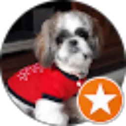 Review From Eva Susanti