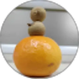 Review From budi arnanto