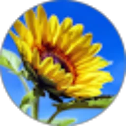 Review From Zola Agrida